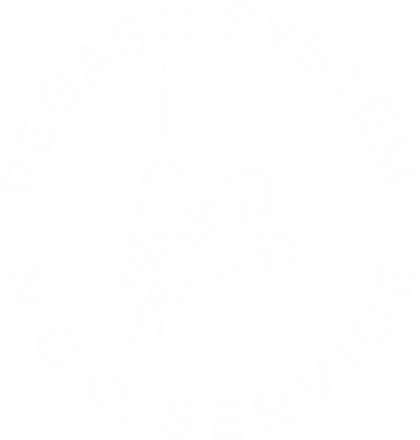 NCC Pegaso system